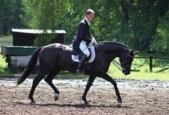 Sweet-Revange-2